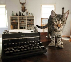 Six-toed cat standing next to Hemingway's typewriter
