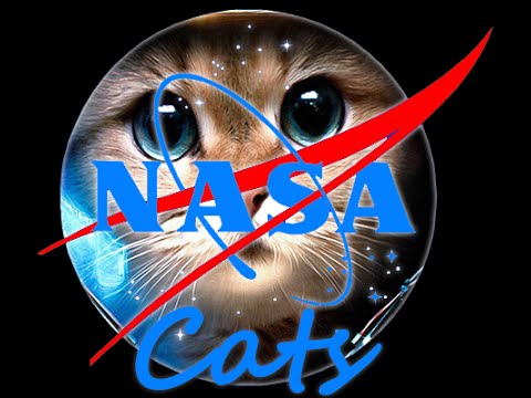 NASA cats logo