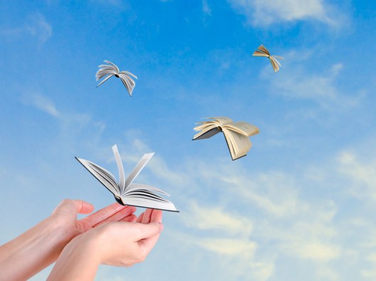 Books in flight